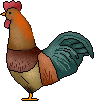 This is the cock