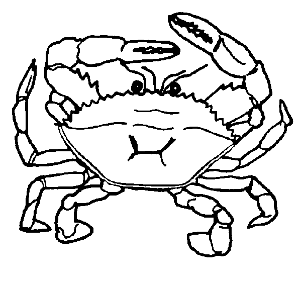 Water Animals To Color