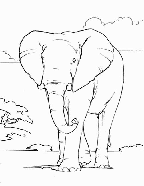 http://childstoryhour.com/images/coloring/elephant.gif
