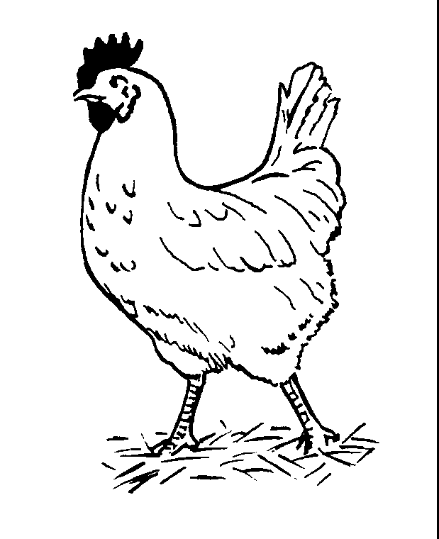Clipart Hen