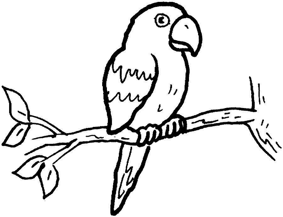 Ants Coloring Pages