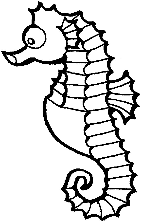 Seahorse draw, Seahorse animation